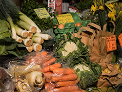 St Ives Farmers Market - Fresh Vegetables St Ives Farmers Market - Fresh Vegetables